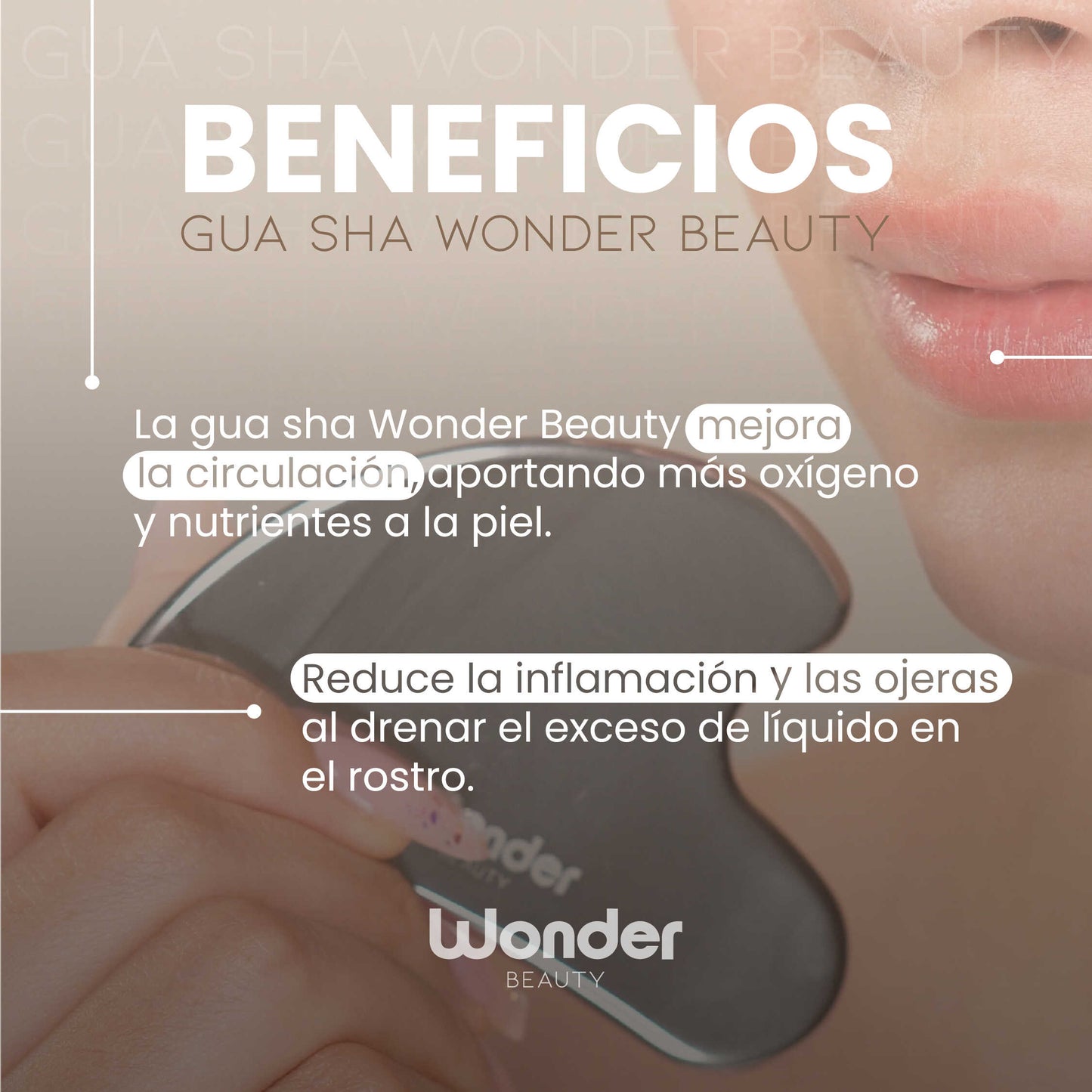 GUA SHA PROFESIONAL EN ACERO INOXIDABLE